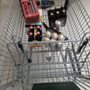 Photo of Al's Supermarket