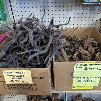 Reef Tropical Fish - the decorative sticks and stone, lots to choose from - Local Fish Stores Near Me - Anaheim, California Reef Tropical Fish - the decorative sticks and stone, lots to choose from - Local Fish Stores Near Me - Anaheim, California