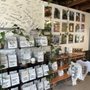 Photo of Excelsa Cafe