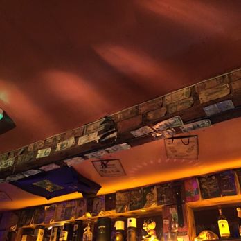 The Hairy Lemon - Look at the money along the ceiling! - Irish Pub Near Me - Dublin, D