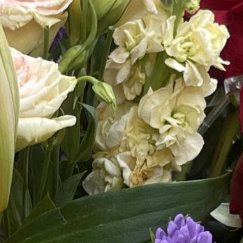 Grand Flowers - Florists Near Me - Oakland, California Grand Flowers - Florists Near Me - Oakland, California