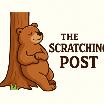 The Scratching Post - Pop-up Shops Near Me - Saint Paul, Minnesota The Scratching Post - Pop-up Shops Near Me - Saint Paul, Minnesota
