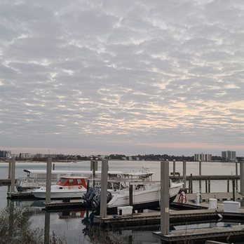 Cobalt - Seafood Near Me - Orange Beach, Alabama