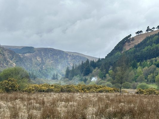 Glendalough by null