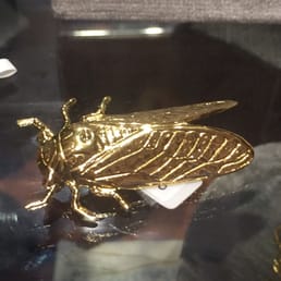 Palmetto bug collection! Palmetto bug collection!