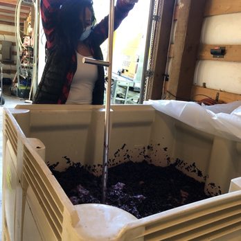 Rolling Bay Winery - Such a great experience! - Wineries Near Me - Bainbridge Island, Washington Rolling Bay Winery - Such a great experience! - Wineries Near Me - Bainbridge Island, Washington