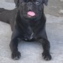 Photo of Evening Pet Clinic