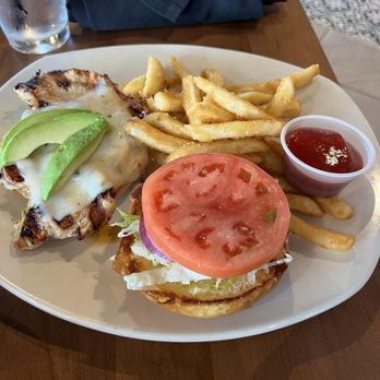 Z’Tejas - Chicken Avocado - Tex-Mex Near Me - Kyle, Texas