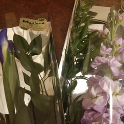 Marilena Piante e Fiori