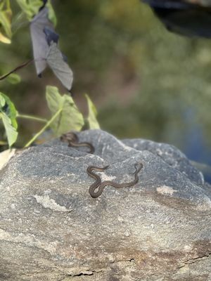 Chatfield State Park Campground by null