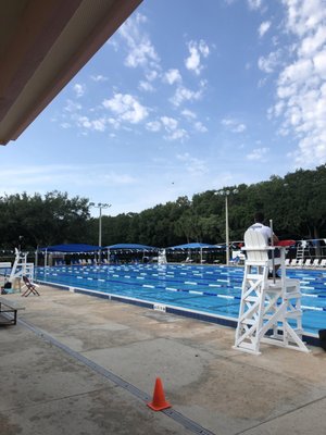 DAVIE PINE ISLAND PARK FITNESS & AQUATIC CENTER - 17 Photos - Swimming