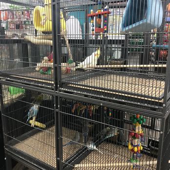 Pet Supermarket - Birds - Pet Stores Near Me - Tamarac, Florida Pet Supermarket - Birds - Pet Stores Near Me - Tamarac, Florida