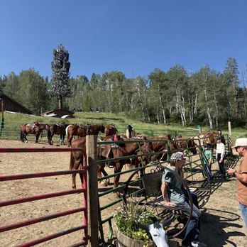 Beaver Creek Stables - Horse Boarding Near Me - Avon, Colorado Beaver Creek Stables - Horse Boarding Near Me - Avon, Colorado