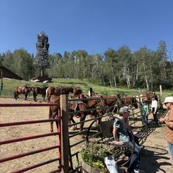 Beaver Creek Stables