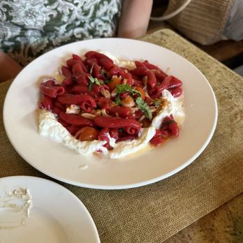 Ciccia Osteria - Italian Near Me - San Diego, California