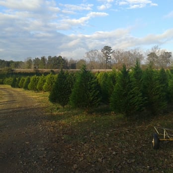 Orchard Hill Tree Farm - Farms Near Me - Griffin, Georgia Orchard Hill Tree Farm - Farms Near Me - Griffin, Georgia