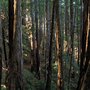 Photo of Cascade Ranch State Park