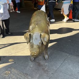 Rachel the Pig. It's a piggy bank. Rachel the Pig. It's a piggy bank.