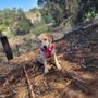 Photo of K9805