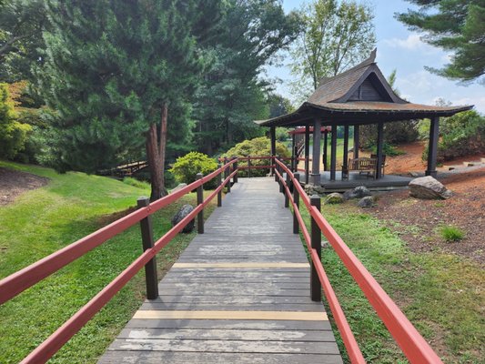 Stanley Park by null