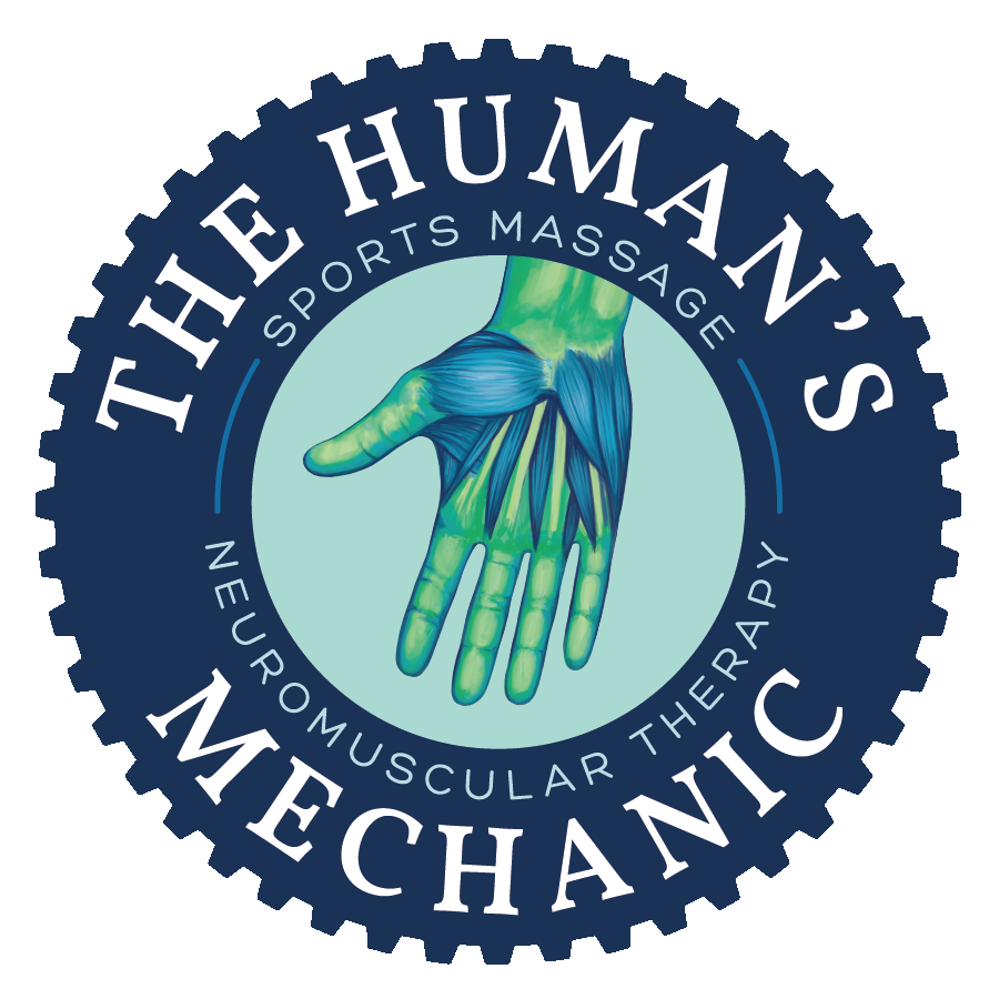 THE HUMAN’S MECHANIC Updated September 2024 33 Reviews 3201 Anata Dr, Zephyrhills