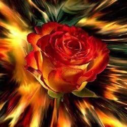 El Mariachi Mexican Restaurant - Hot n spicy