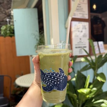 Better Daze - Vanilla Bean Matcha - Coffee & Tea Near Me - Honolulu, Hawaii Better Daze - Vanilla Bean Matcha - Coffee & Tea Near Me - Honolulu, Hawaii