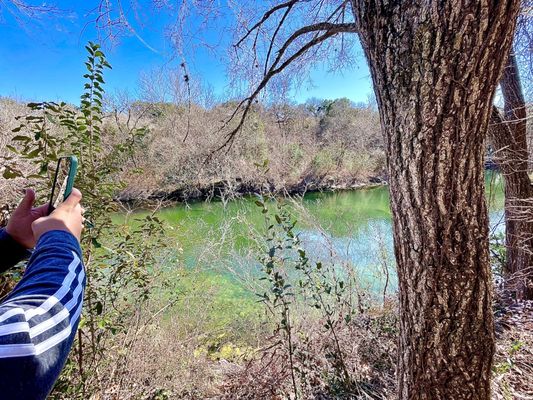 Sculpture Falls by null