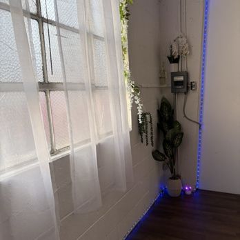 The Orchid Pole Studio - Cute plant decor - Dance Studios Near Me - Los Angeles, California The Orchid Pole Studio - Cute plant decor - Dance Studios Near Me - Los Angeles, California