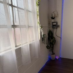 The Orchid Pole Studio - Cute plant decor