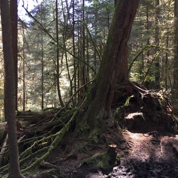 Varley Trail - Hiking Near Me - North Vancouver, British Columbia