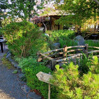 Domo - patio - Japanese Near Me - Denver, Colorado