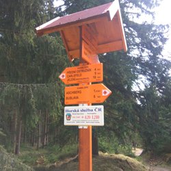 Kammloipe - Immer der Grenze entlang