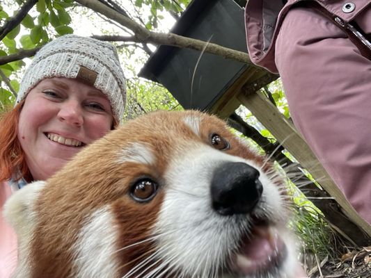 Wellington Zoo by null