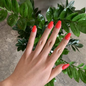 Lashlabnyc - Gel extensions with gel color - Eyelash Service Near Me - Flushing, New York