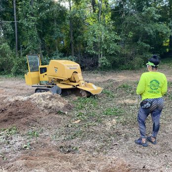 Guerreros Stump Grinding - Tree Services Near Me Guerreros Stump Grinding - Tree Services Near Me