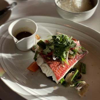 Spago - Steamed Onaga - sublime! - Asian Fusion Near Me - Maui, Hawaii Spago - Steamed Onaga - sublime! - Asian Fusion Near Me - Maui, Hawaii
