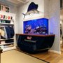 Photo of House of Fins