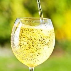 Universal Liquors - Sparkling wine Dover, DE