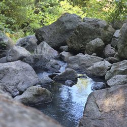 Linda Falls Preserve Hiking