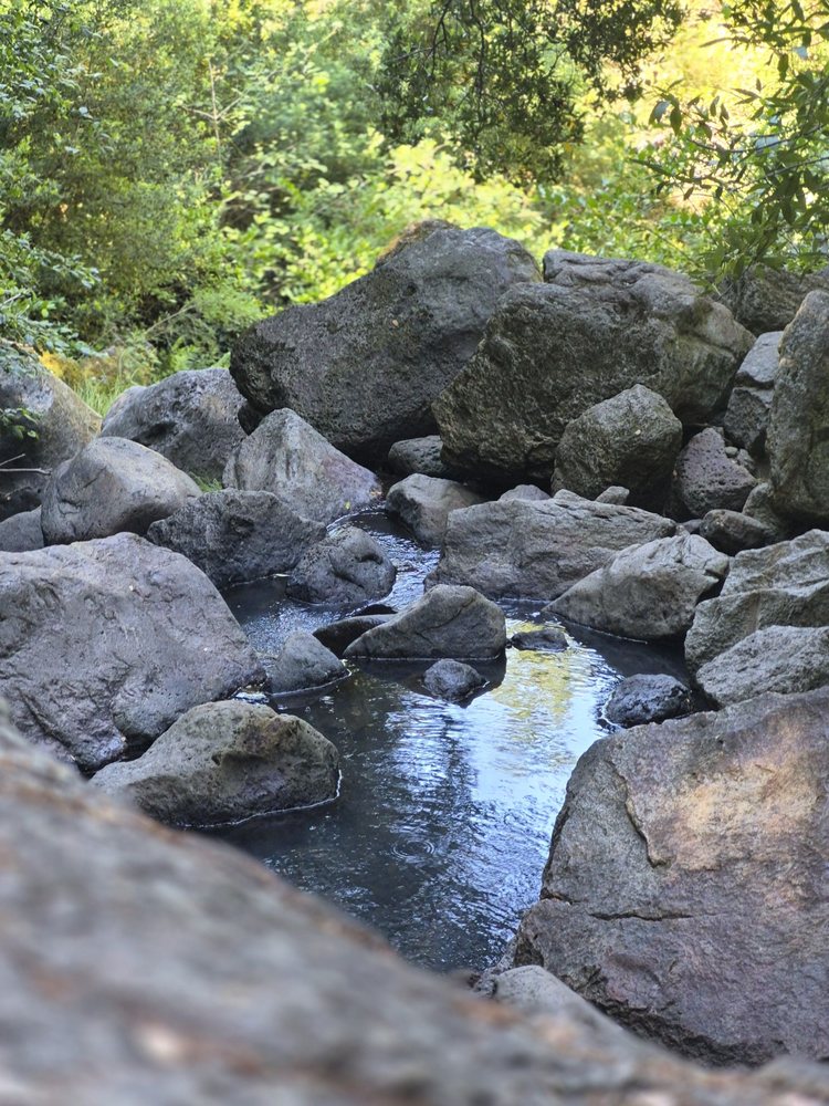 Linda Falls Preserve Hiking Logo