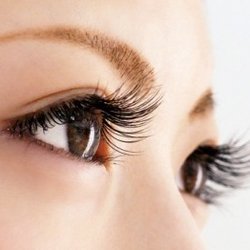 Stella Lash