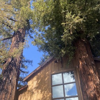 Sequoia Grove Winery - Outside looking up - Wine Tasting Room Near Me - Rutherford, California
