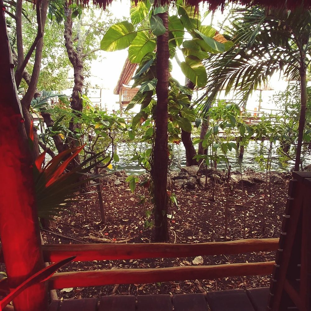 Thai Restaurant - Thai Near Me - Cancún, ROO Thai Restaurant - Thai Near Me - Cancún, ROO