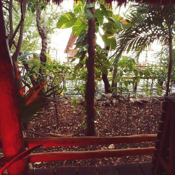 Thai Restaurant - Thai Near Me - Cancún, ROO Thai Restaurant - Thai Near Me - Cancún, ROO