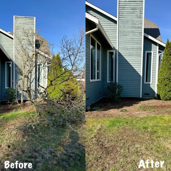 New View Tree and Landscaping - Tree removal/ Stump grinding - Tree Services Near Me - Renton, Washington New View Tree and Landscaping - Tree removal/ Stump grinding - Tree Services Near Me - Renton, Washington