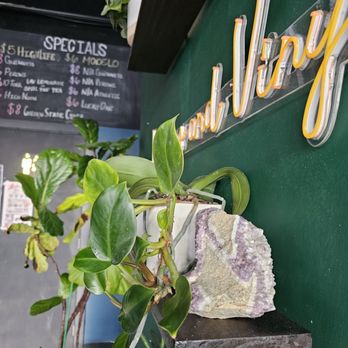 The EP Listening Lounge - More plants - Coffee & Tea Near Me - Reno, Nevada