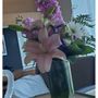 Photo of Bird Florist & Greenhouses