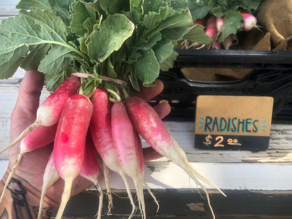 FARM SESSIONS WITH RENO FOOD SYSTEMS + FRIENDS 3295 Mayberry Dr, Reno