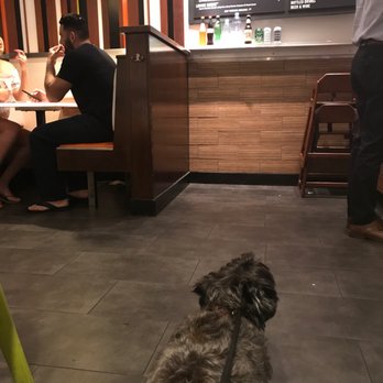 Burger Lounge - Yep. Dog gone hungry. - Burgers Near Me - Coronado, California